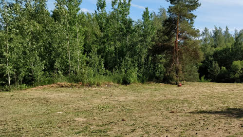 Nupjauta aukšta reta žolė