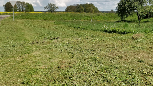 Pjaunama žolė Kauno rajone