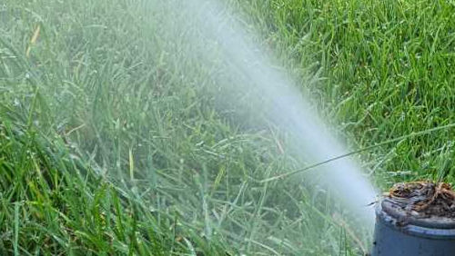 Vejos laistymo purkštuvas