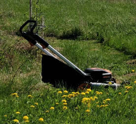 Paveikslėlis: vejapjovė žolėje